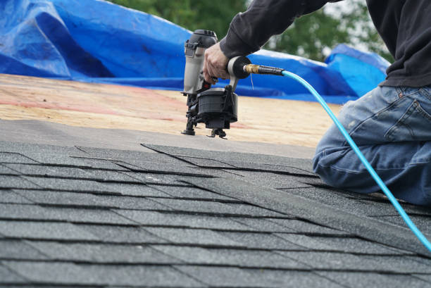 Best Roof Maintenance Services  in Jamestown, ND