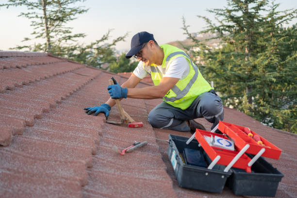 Best Residential Roofing Contractor  in Jamestown, ND