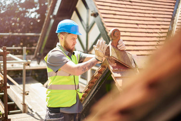 Best Roof Leak Repair  in Jamestown, ND