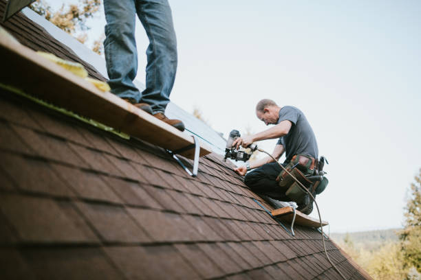 Professional Roofing Contractor in Jamestown, ND